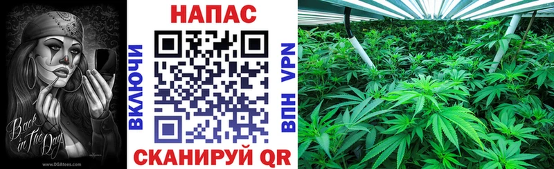 Марихуана THC 21% Ува